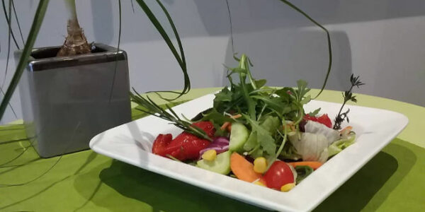 Antipasti-salat slider